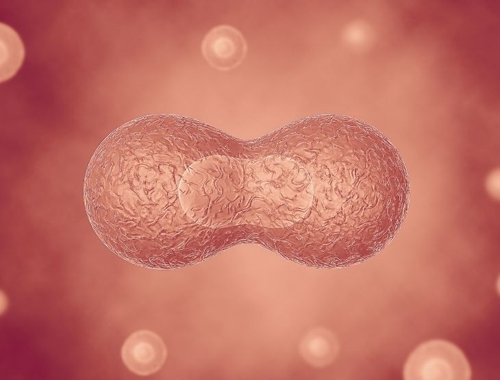 3_Disease_Antifungals